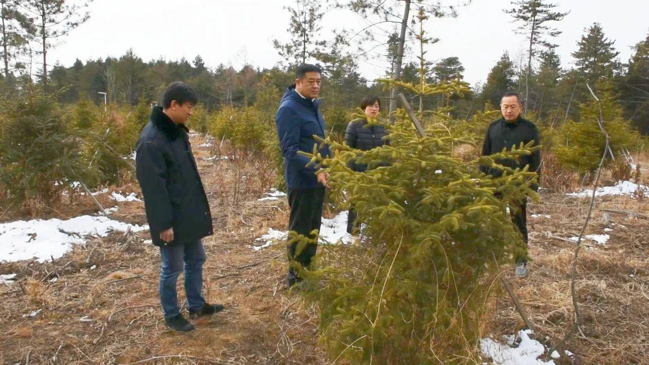 千里之行跑得快是什么生肖详细解答、构建解答解释落实