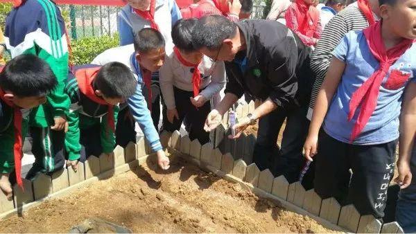 千里之行跑得快是什么生肖详细解答、构建解答解释落实